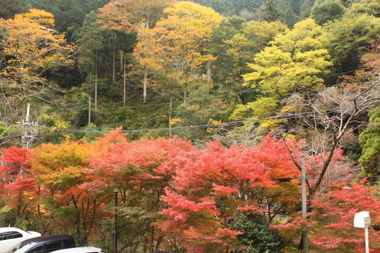 Yadori Onsen Iyashinoyu Villa Hashimoto  Exterior photo